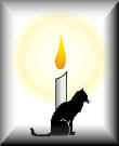 catvigil.jpg (2657 bytes)