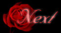 MD-rose1next.gif (4685 bytes)