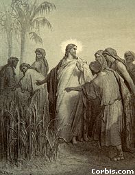 Jesus and disciples gathering corn by Dore