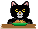 cat w/food!