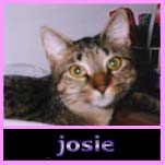 josie