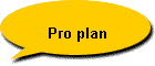 Pro plan