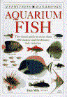 Aquariumfisheyewitness.gif (6985 bytes)