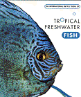 internationaltropicalfreshwaterfish.gif (14516 bytes)