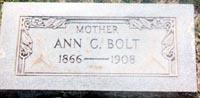 ann_bolt.jpg (29976 bytes)