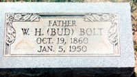 bud_bolt.jpg (35858 bytes)