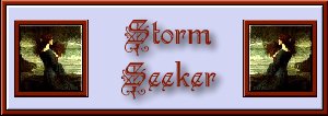 Storm Seekers Realm