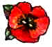 poppy.JPG (2025 bytes)