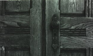 wooden door picture