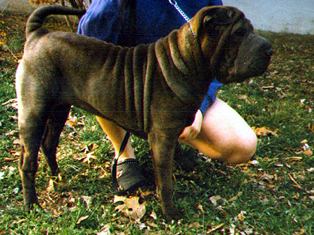 Little Girl At Six Months