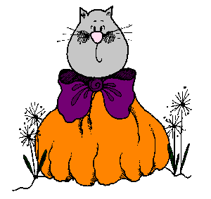 Cat in Pumpkin