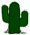 CACTUS