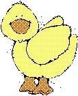 duck2