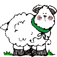 sheep