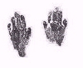 Kayla's handprints