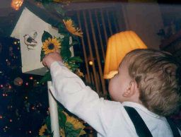 Anthony pointing out my sunflower.