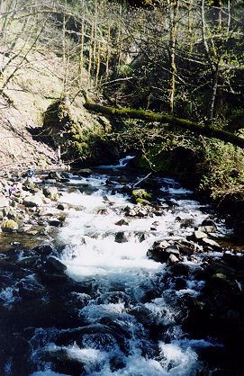 Bridal Veil Falls