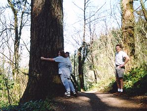 Tree hugging