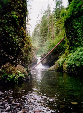 Punchbowl Falls