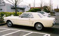 Mustang