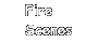 Fire Scenes