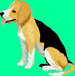 Benji the Beagle