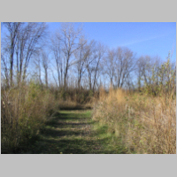 Madison_Road_pond_trail_1.jpg