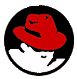 Linux Redhat 6.0 logo