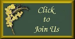 Join Wattle Women