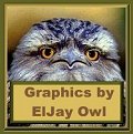 Eljay Owl Logo