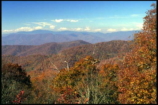 The mountains near the end of the Blue Ridge Parkway