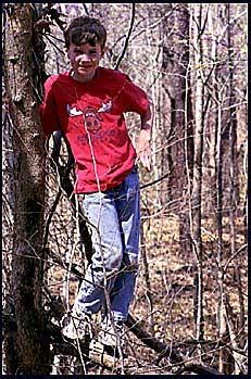 Climbing in the tree