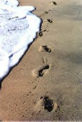 Footprints