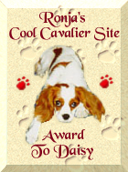 Ronja's
Cool Cavalier Site Award