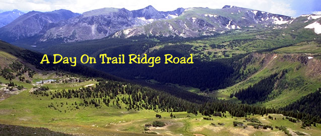 A Day On Trail Ridge Road