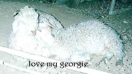 Image of lovegeorgie_01.jpg