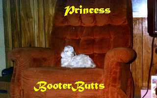 Image of princessBooters.jpg