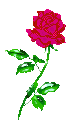 Image of rose.gif