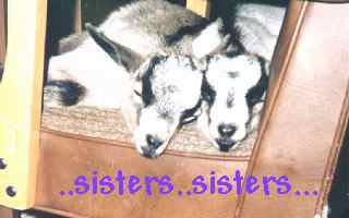 Image of sisters.jpg