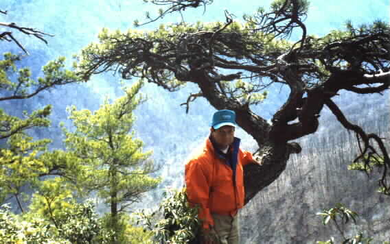 At The Top Of Barney's Wall