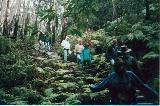 Brooke in the Blue Mountains of Australia