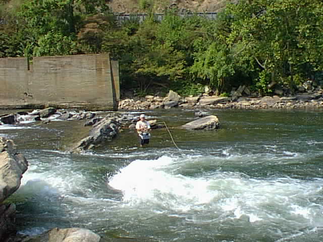 The Falls on New River at Narrows, VA.