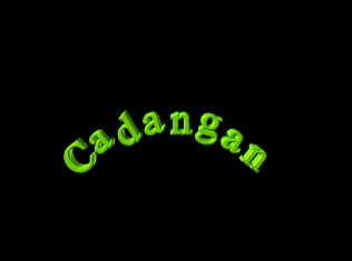 Cadangan dari Surau An-Nur