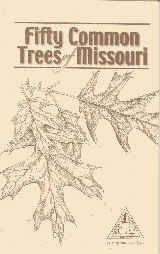 50 Common Trees of Missouri cover