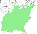 sassafras native range