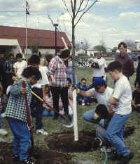 Kids planting a tree