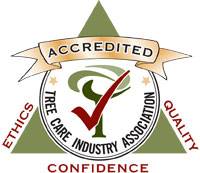 TCIA Accreditation Logo