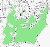 river birch native range