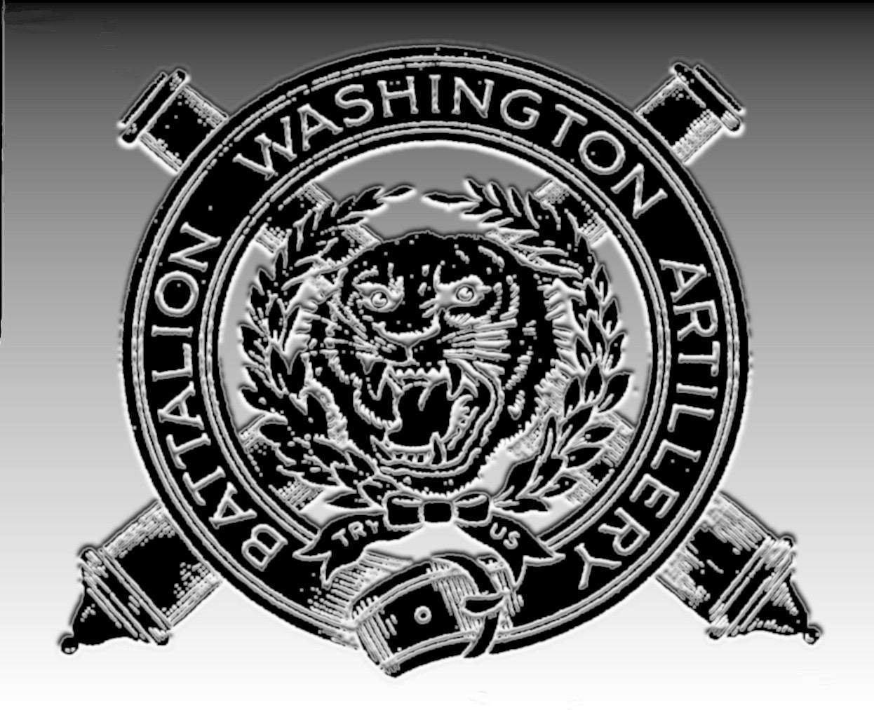 washington artillery logo.jpg (277526 bytes)