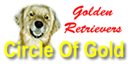 Join
The Golden Retriever Circle Of Gold Webring!